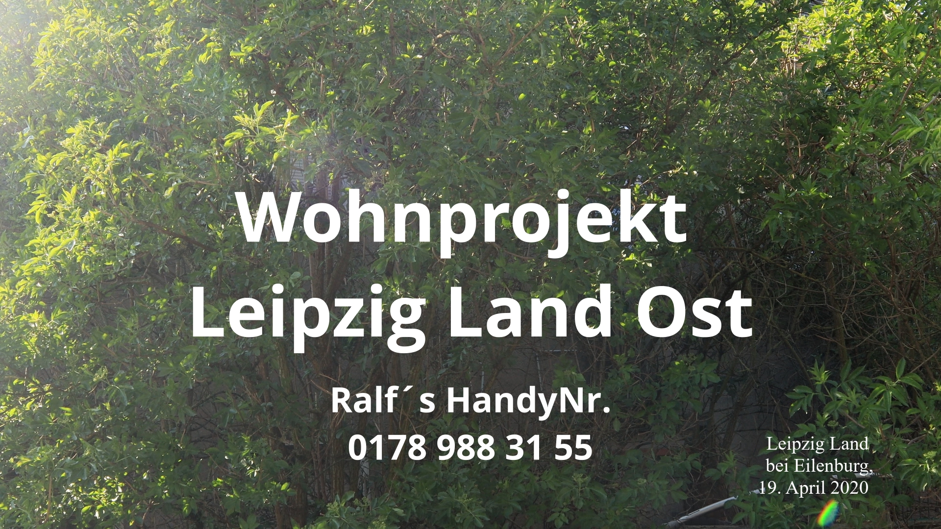 ralfs
                  wohnprojekt